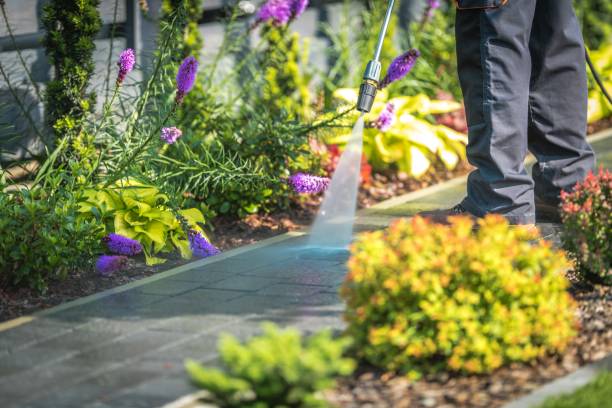 Best Deck and Patio Pressure Washing in Maxton, NC
